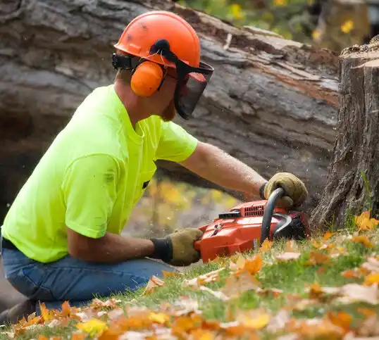 tree services Surrey